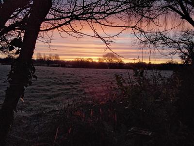 Picture 47